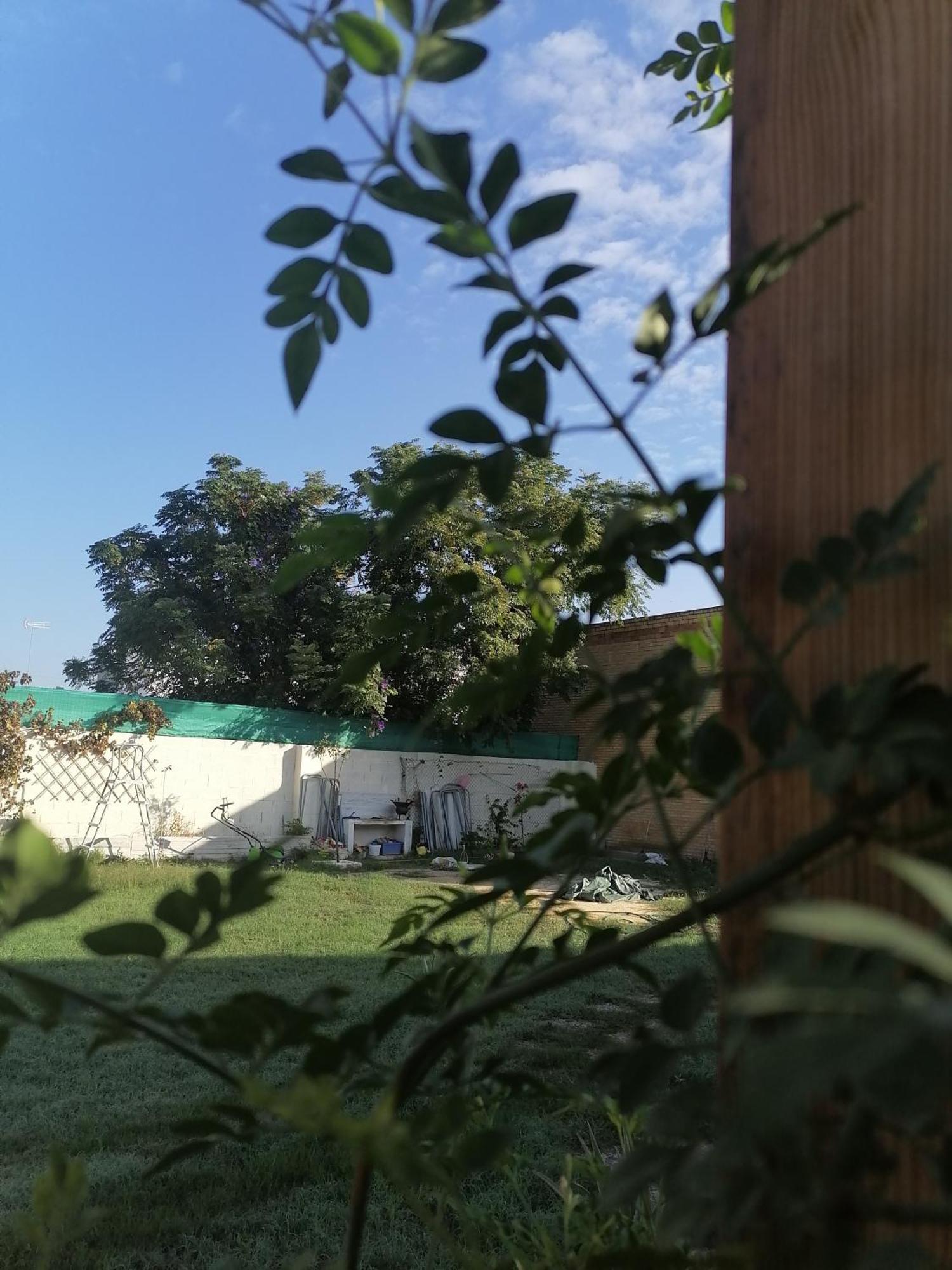 Cabana El Salto Del Duende Villa Carrion de Los Cespedes Exterior photo